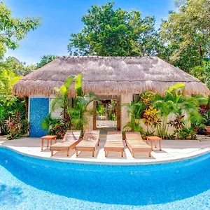 https://puerta-zama-by-moskito.quintano-roohotels.com